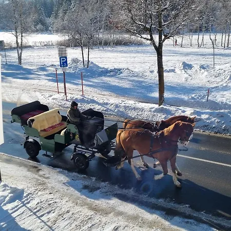 Bergsee Sun - Am Wildsee - Atemberaubende Aussicht דירה