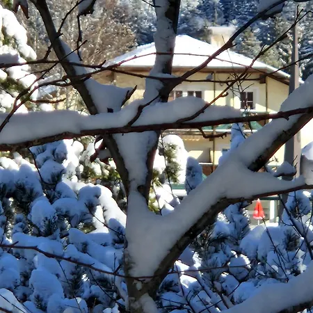 Bergsee Sun - Am Wildsee - Atemberaubende Aussicht זיפלד אין טירול