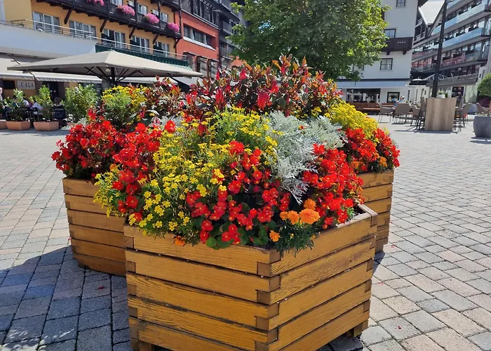 Apartment Bergsee Sun - Am Wildsee - Atemberaubende Aussicht Seefeld in Tirol