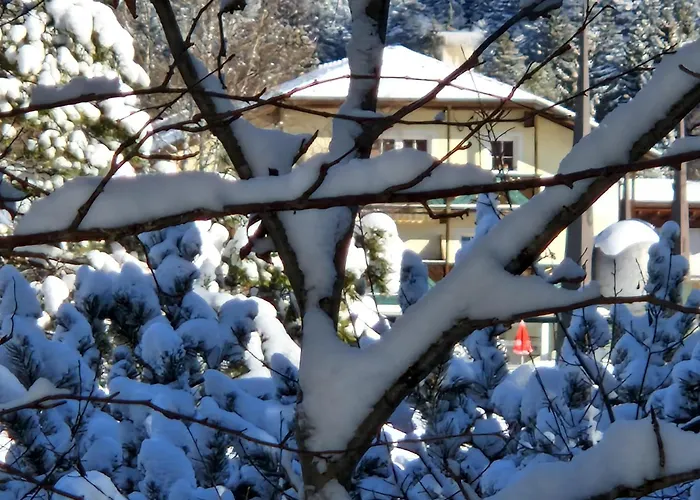 Bergsee Sun - Am Wildsee - Atemberaubende Aussicht Зефельд-ін-Тіроль